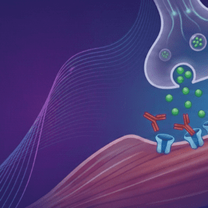 Integrating FcRn and Complement System Therapies for Generalized Myasthenia Gravis